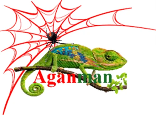 Aganman